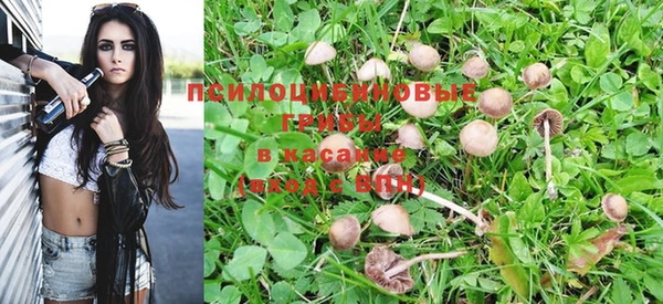 винт Михайлов