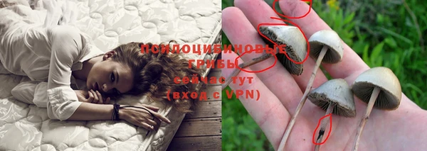 спайс Михайловск