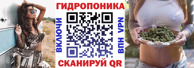 Шишки марихуана семена Красный Кут